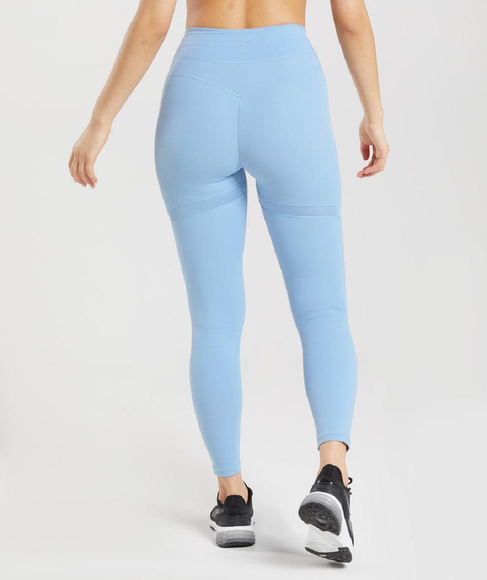 Leggins Gymshark Whitney Mesh Mujer Azules | CO 2920BEX